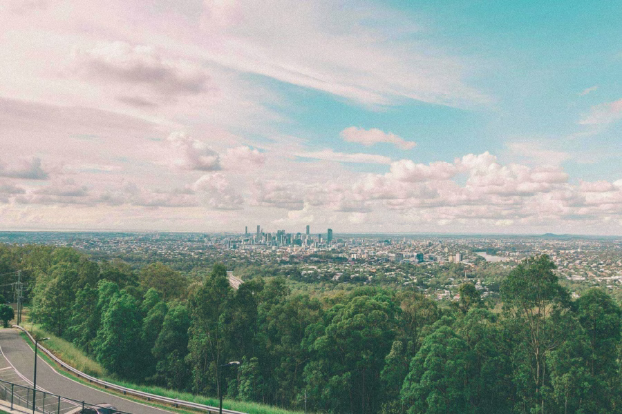 Pest Control Brisbane South Termite Treatment