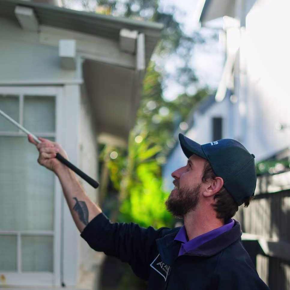 pre-purchase timber pest inspection