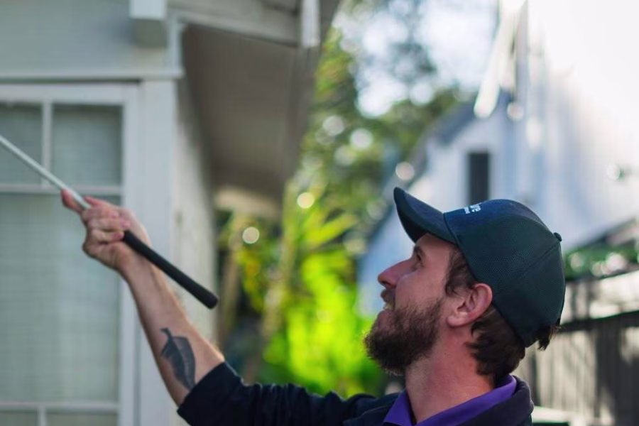 pre-purchase timber pest inspection