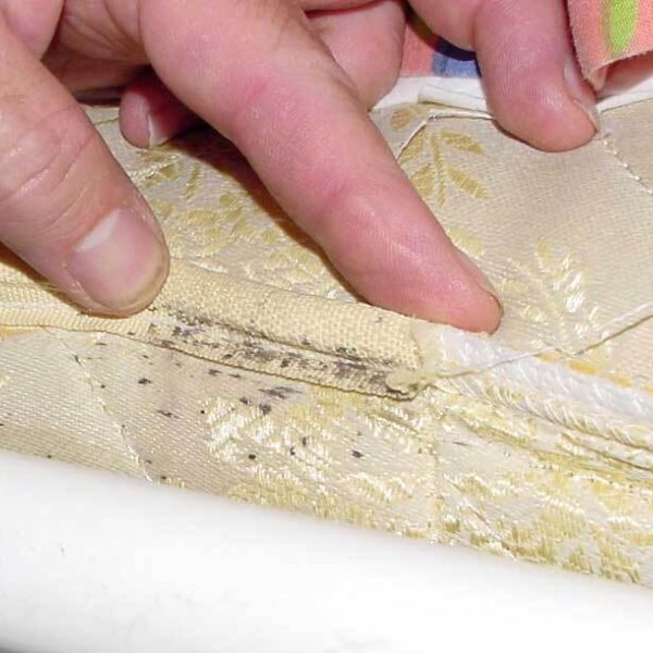 Bed bug inspection mattress seam