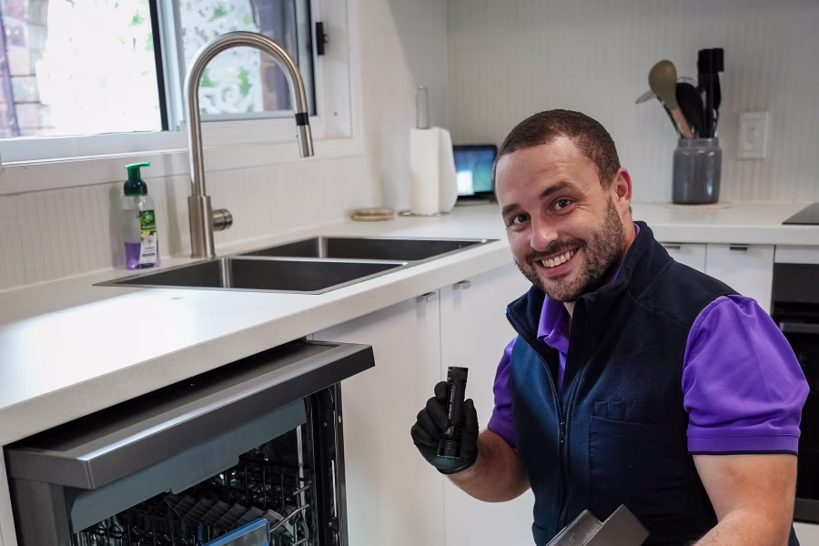 termite inspections brisbane