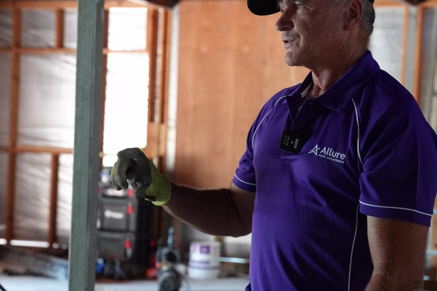 pre-construction termite treatment