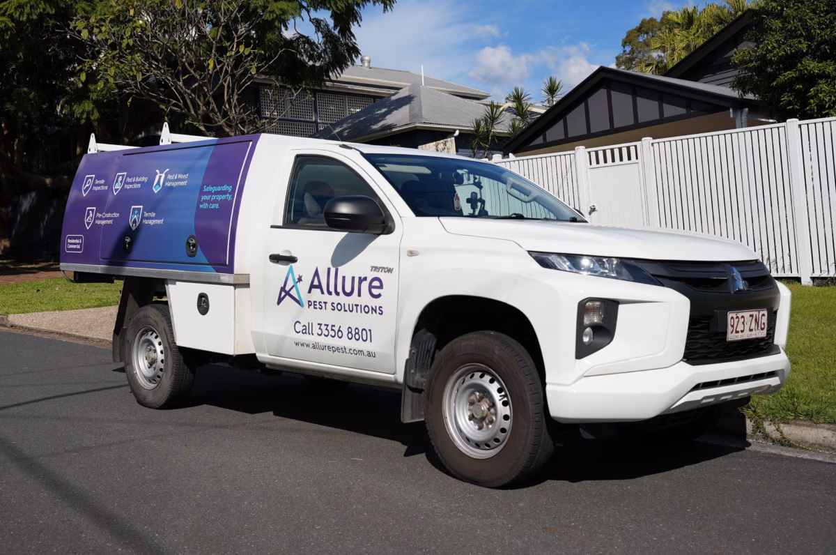 efficient safe expert pest control brisbane