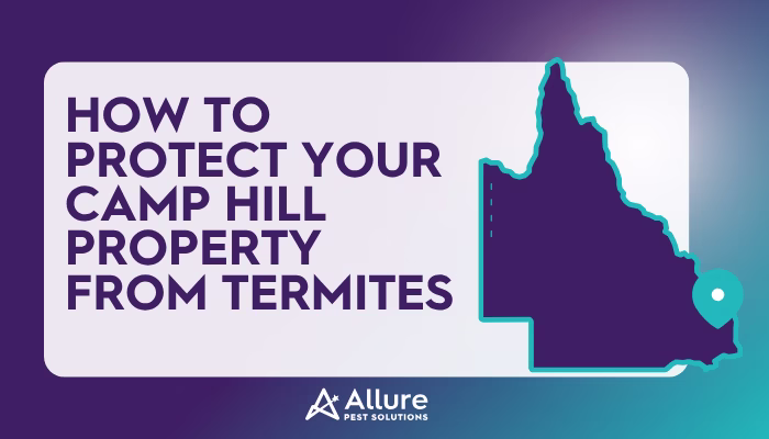Camp Hill Termite Management