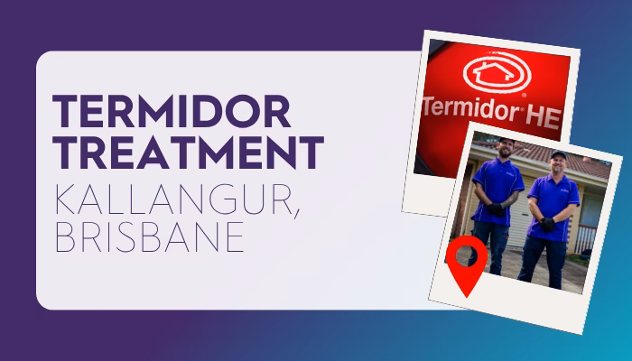 Termidor HE