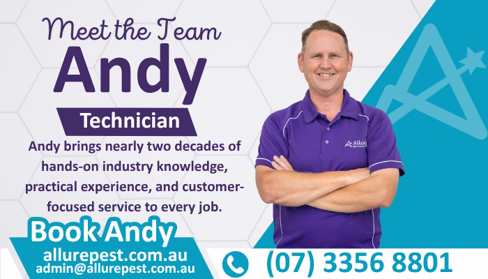 Meet the team 1 1