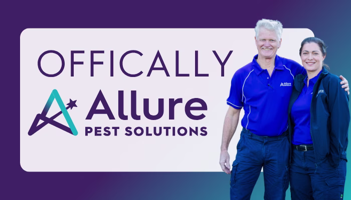 Allure Pest Solutions Brisbane 1