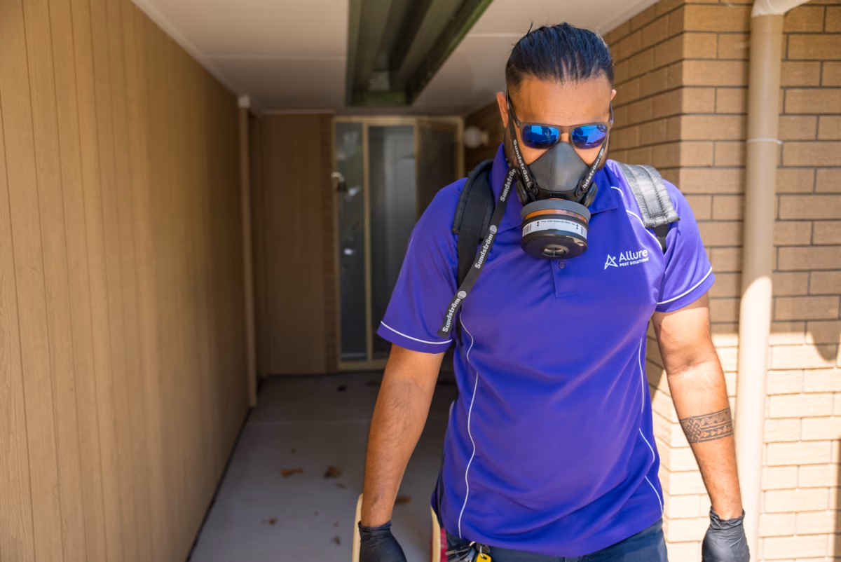 Ravi photoshop scaled