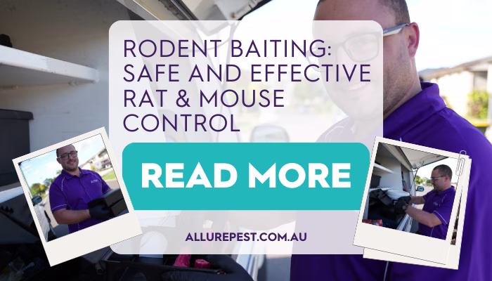 Rodent Baiting Safe and Effective Rat Mouse Control