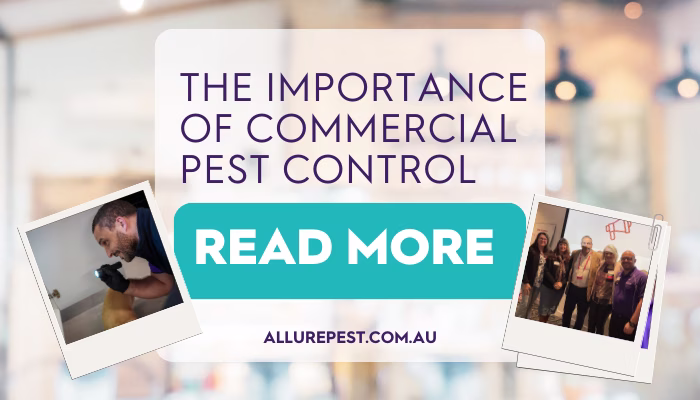 Commercial Pest Ccontrol