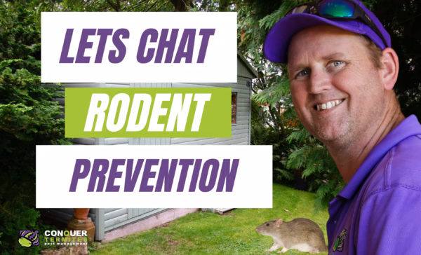 Rodents