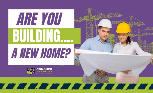 You building