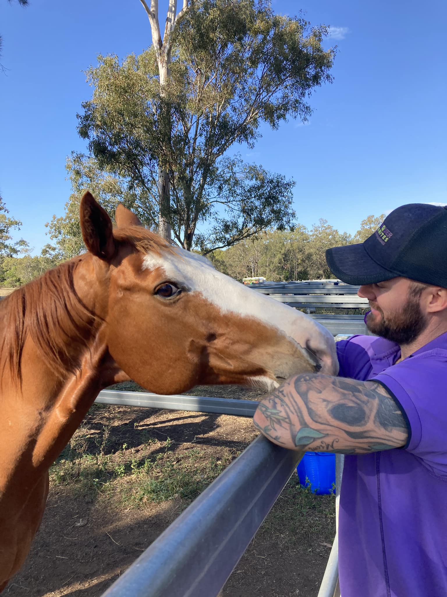 Allure Pest Solutions Technician getting a smooch from a chestnut horse at Redcliffe Pony Club, located in Rothwell.