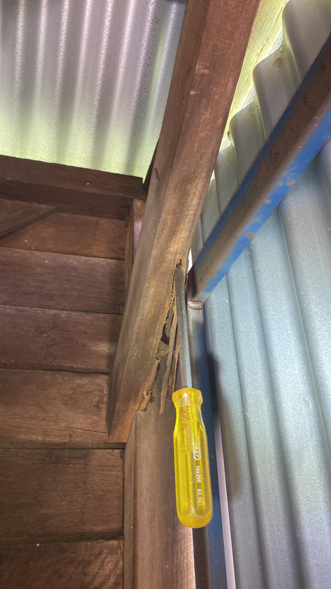 A yellow screw driver can be seen opening up termite damage in a wooden beam