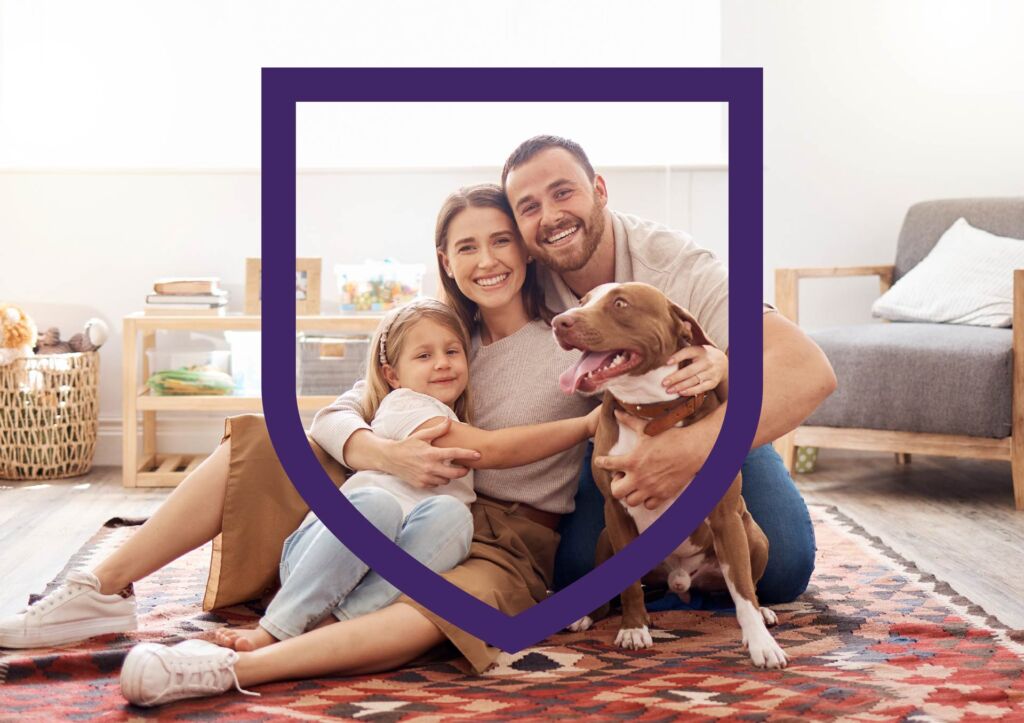 Pest control Pimpama termite inspections.